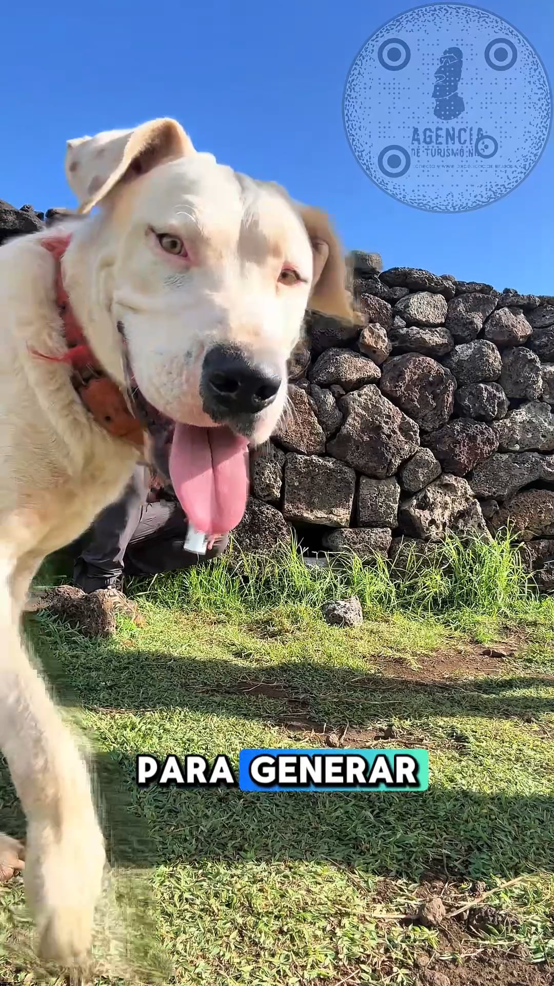 https://i.vimeocdn.com/video/2048452477-613c45047e8d3d7fc2e1182a5841f09ed3380c31db2a9ad3aec5b3e3ca3a1725-d