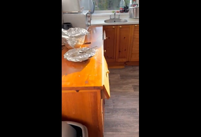 Video 1: