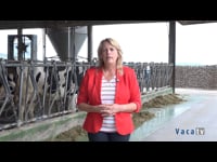 La jornada de puertas abiertas de Lely, todo un éxito