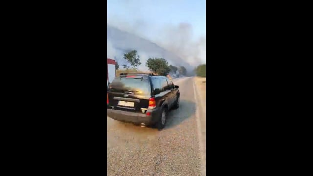 Μάχη με τις φλόγες που πλησιάζουν στάνες στη Φιλιππιάδα Πρέβεζας 12-8-2025