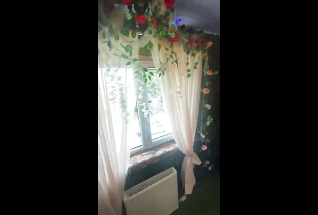 Video 1: