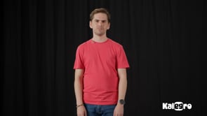 Video 1