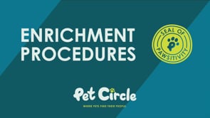 Pet Circle Volunteers: Enrichment Toys