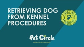 Pet Circle Volunteers: Retrieving Dogs from Kennels
