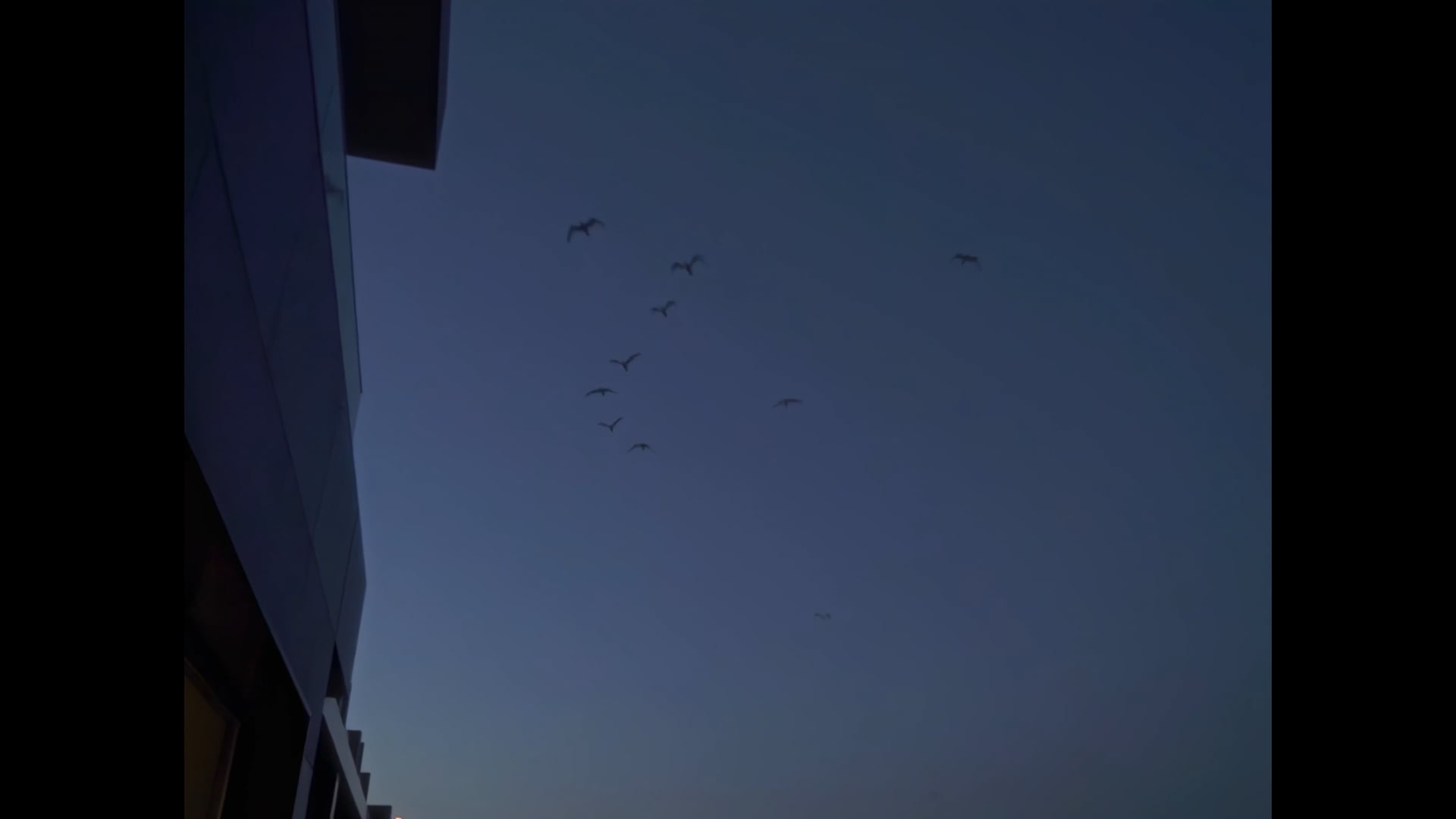 The Bodrum Hotel Yalıkavak