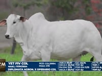 Lote 02