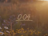 2025-08-17 LAUNCH