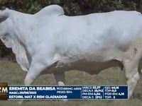 Lote 27