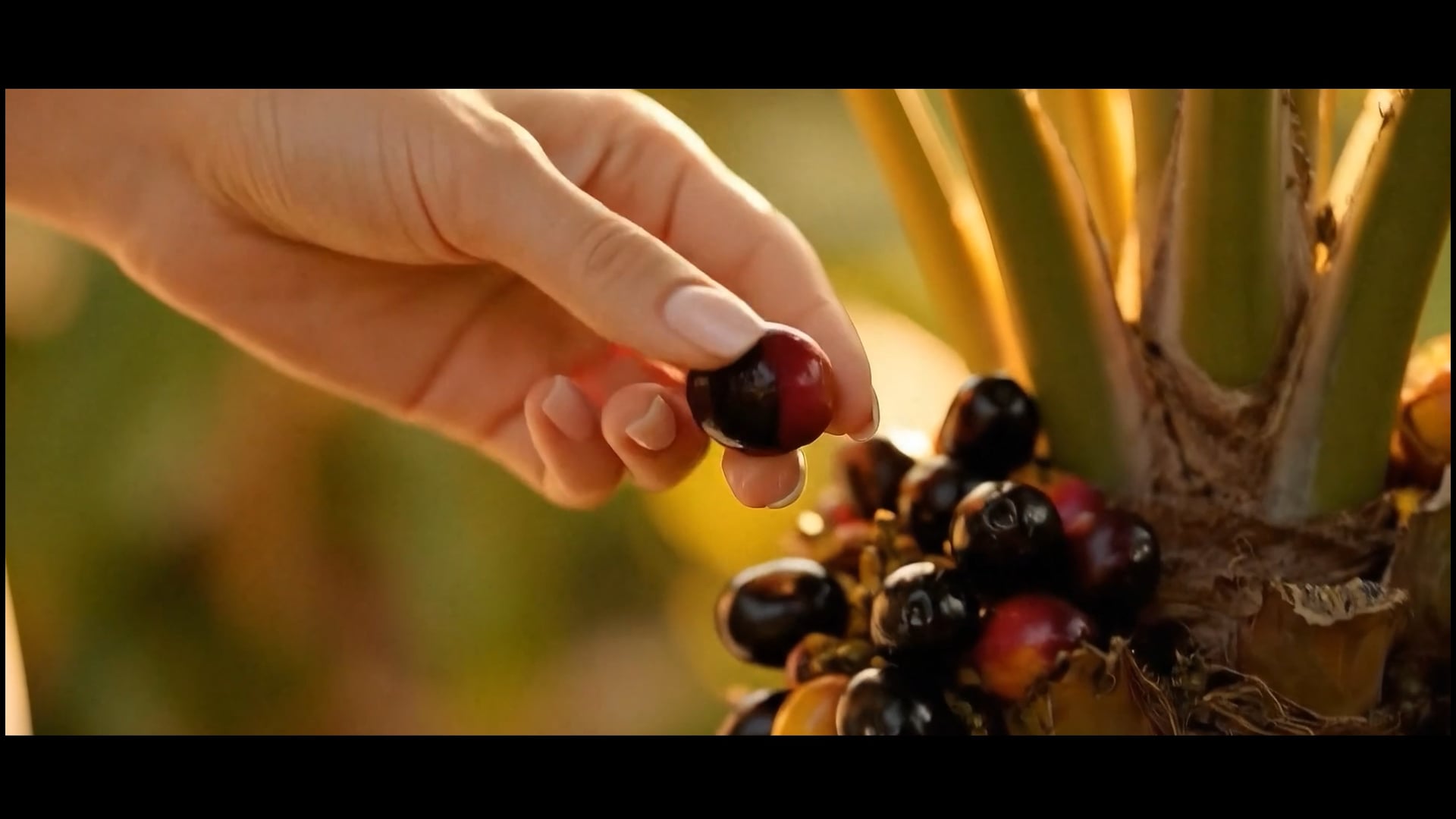 Vital Strands | AI Video