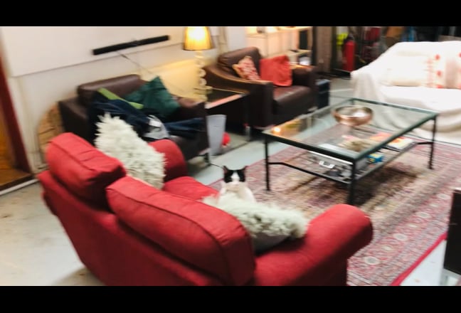 Video 1: