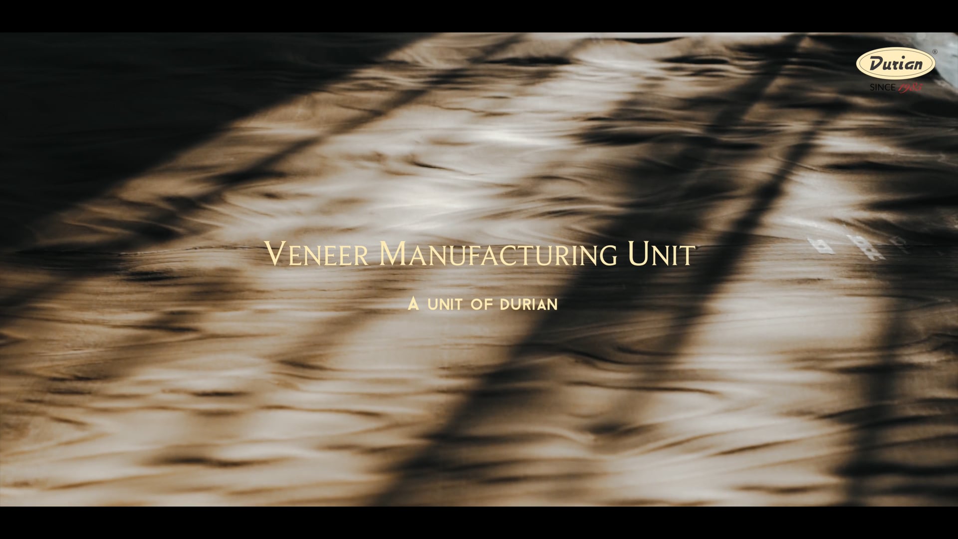 Vineer Manufacturing Unit (2019)