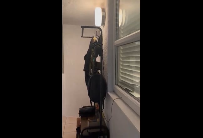 Video 1: