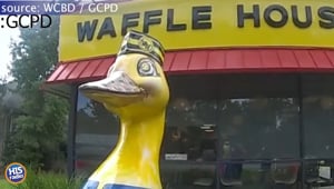 Man Tries Stealing Goose Creek Goose
