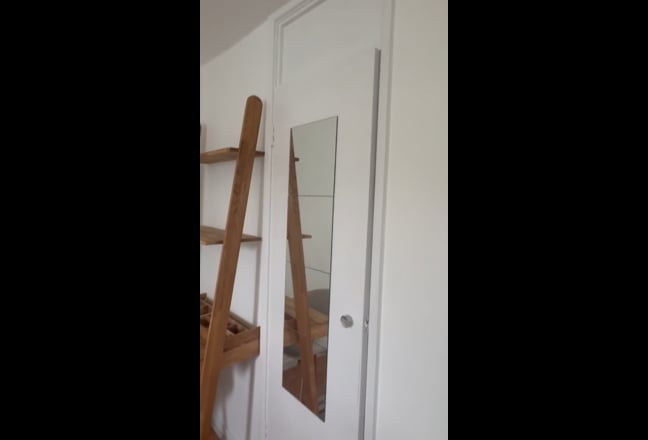 Video 1: