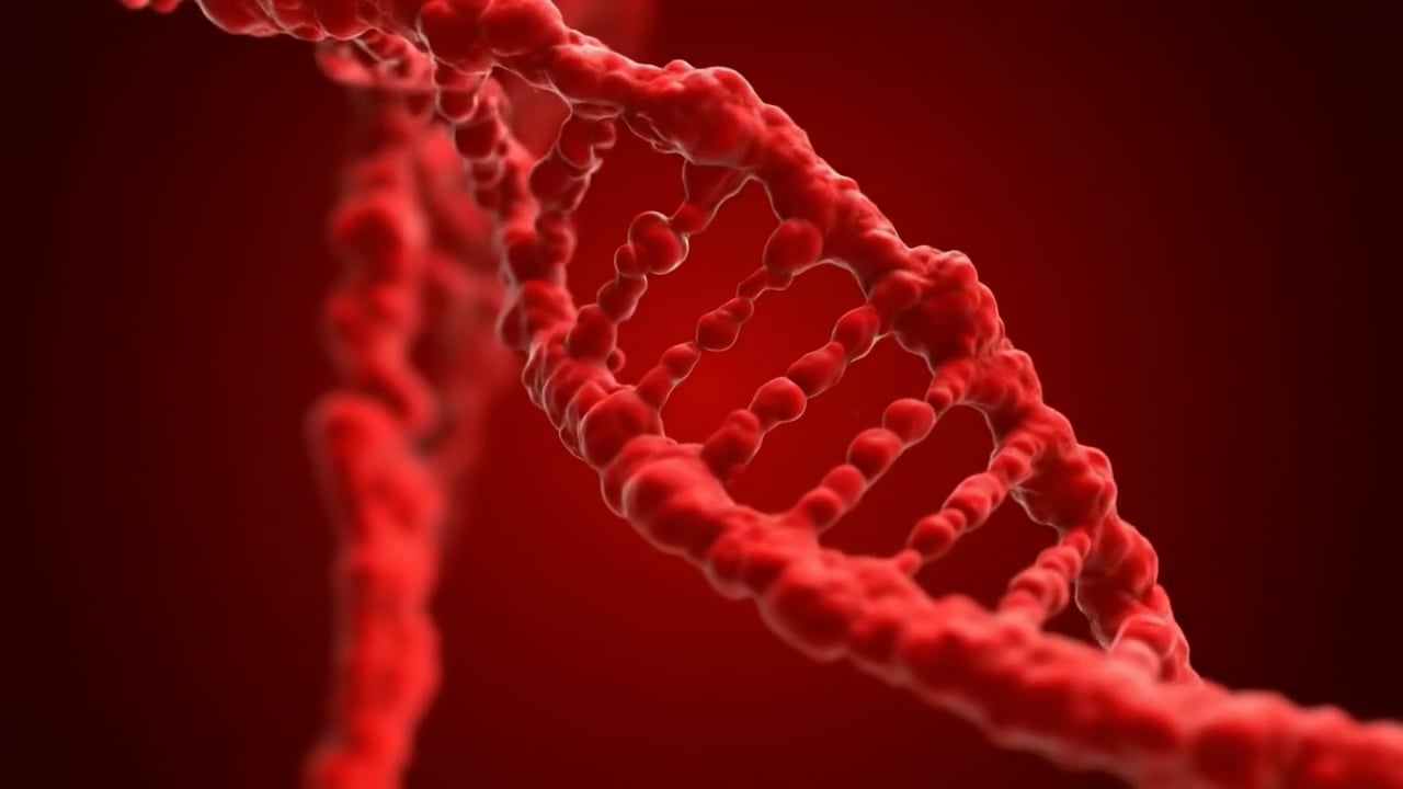 https://i.vimeocdn.com/video/2049327979-e826ec6e688bbecbe43578a8196a1ce85f1ecc8d5387445534aa85b931913f28-d