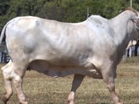 Lote 02