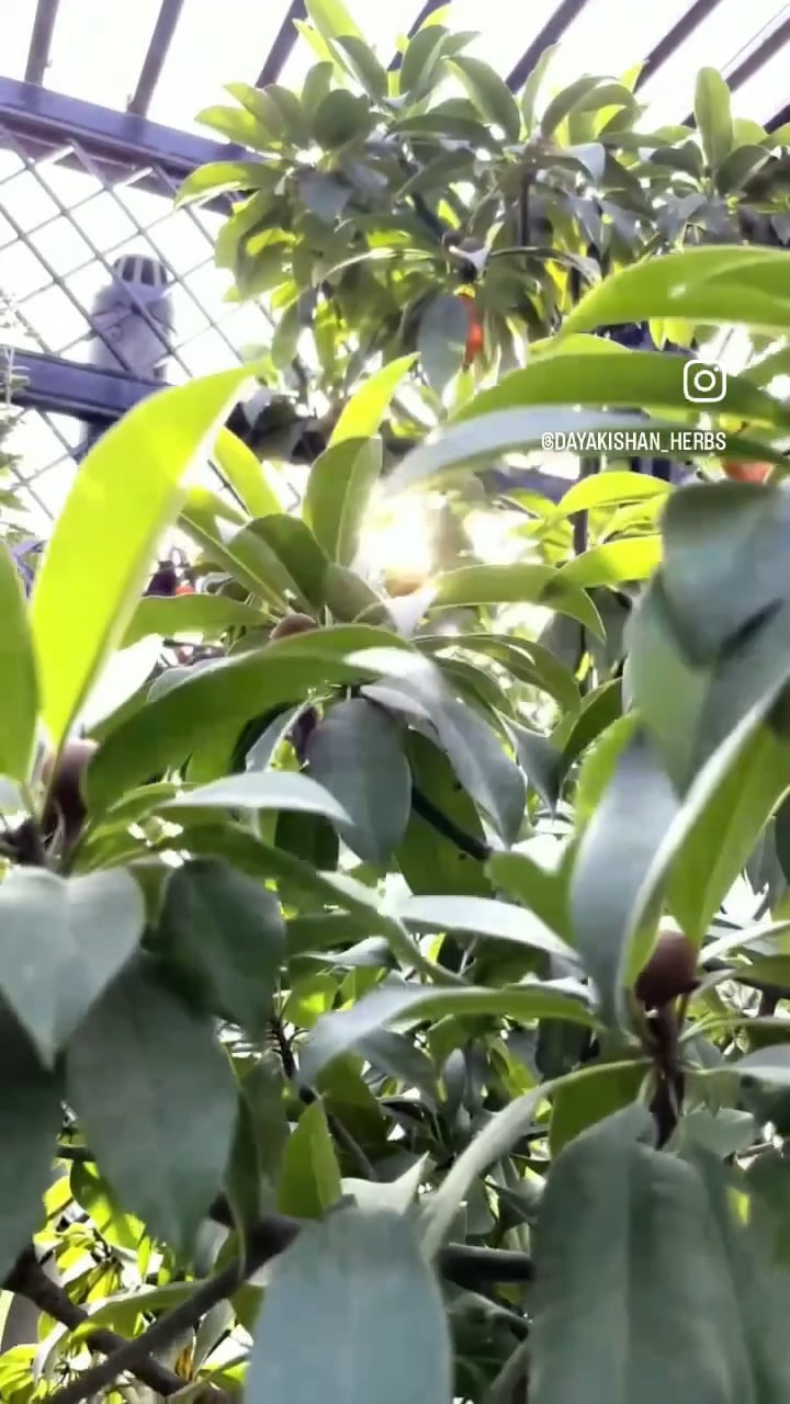 https://i.vimeocdn.com/video/2049524089-1840c513ce66e1544282339795e8c66f49a1817237a994ac844574debb0c9e0d-d