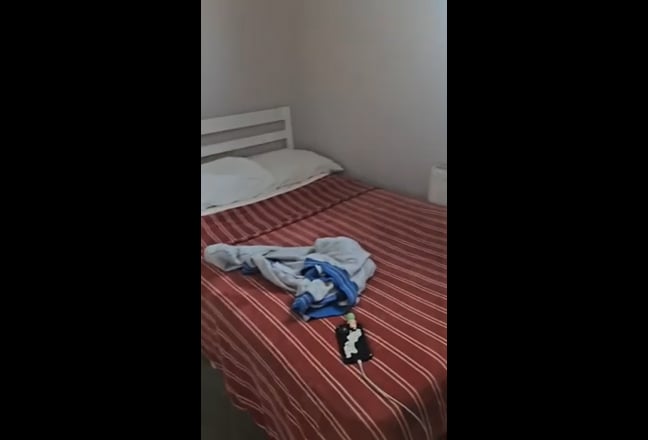 Video 1: