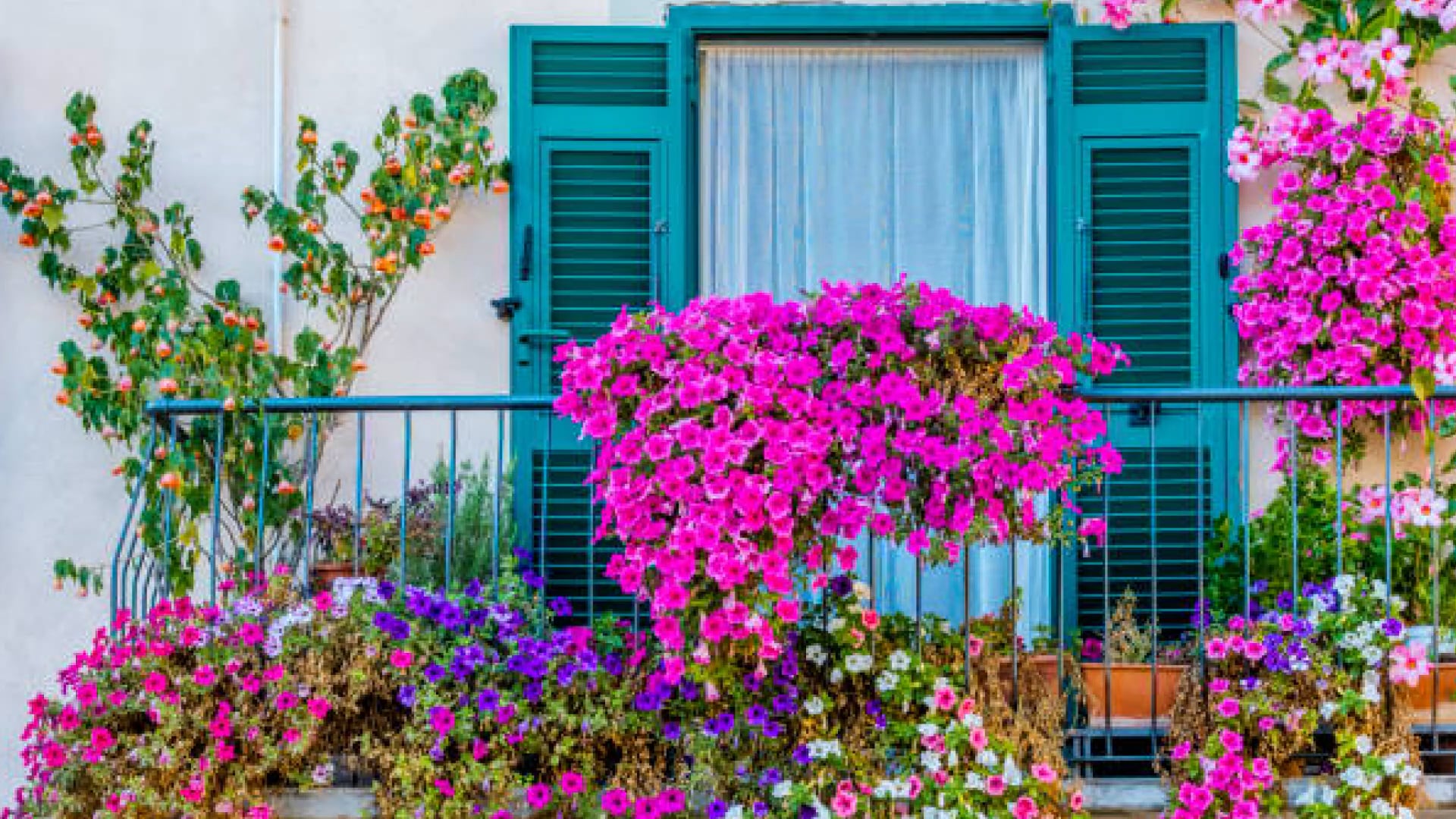 I balconi e giardini fioriti di Monghidoro
