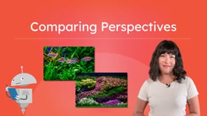 Comparing Perspectives