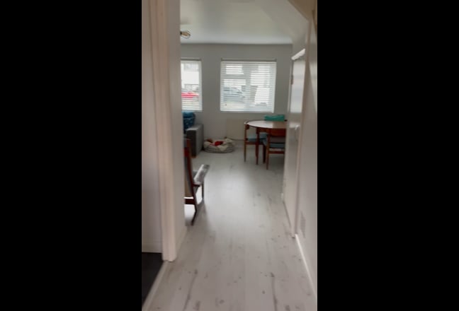 Video 1: