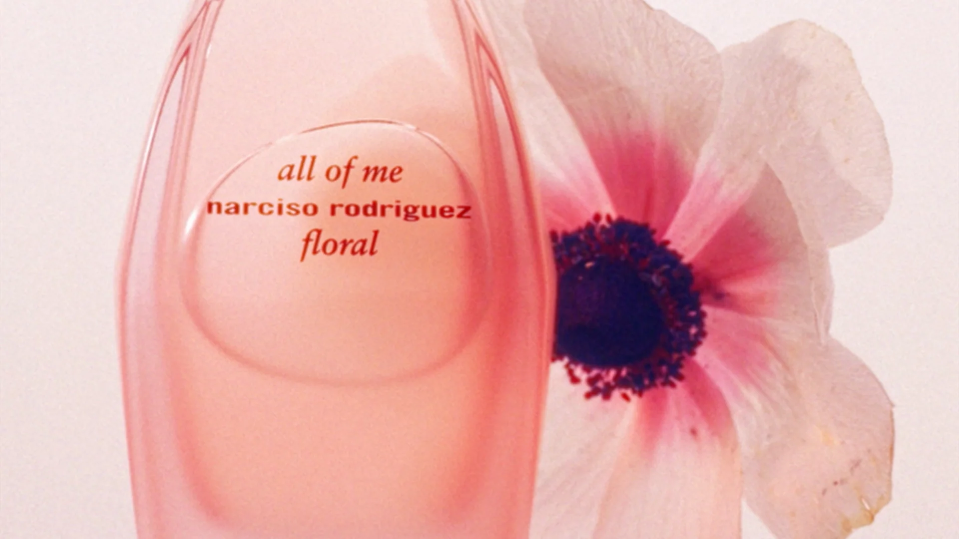 Portfolio — Noemi Bonazzi, Mini Title 2026