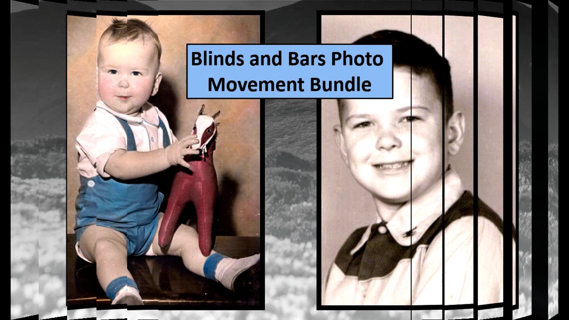 Blinds-Combs-Bars  Movement Bundle