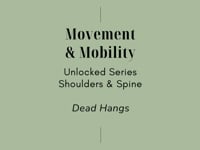 Related Embedded Video Item Thumbnail