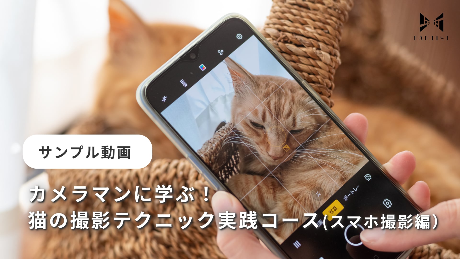 カリキュラム動画のサムネイル画像