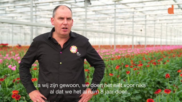 Klantreview Detaconcept - Gerbera United