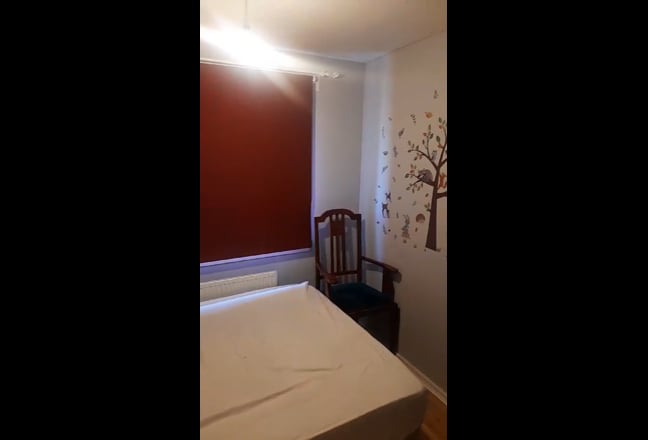 Video 1: