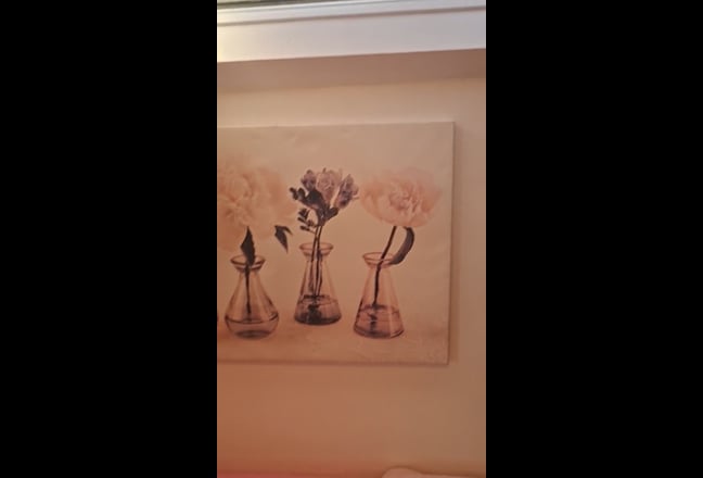 Single Room in Finsbury Park  Main Photo