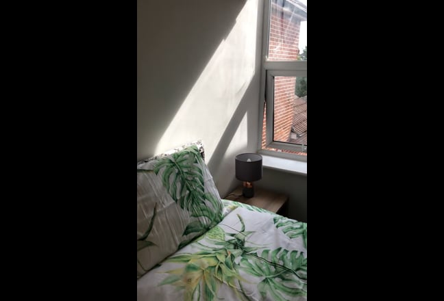 Video 1: Back Garden