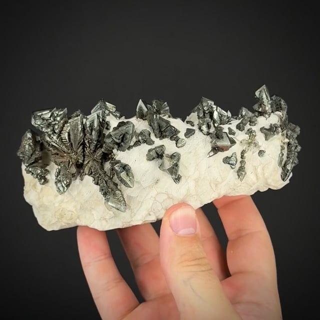 Marcasite in chalk (historic locale) | Kleeberg Quarry, Münster, North ...