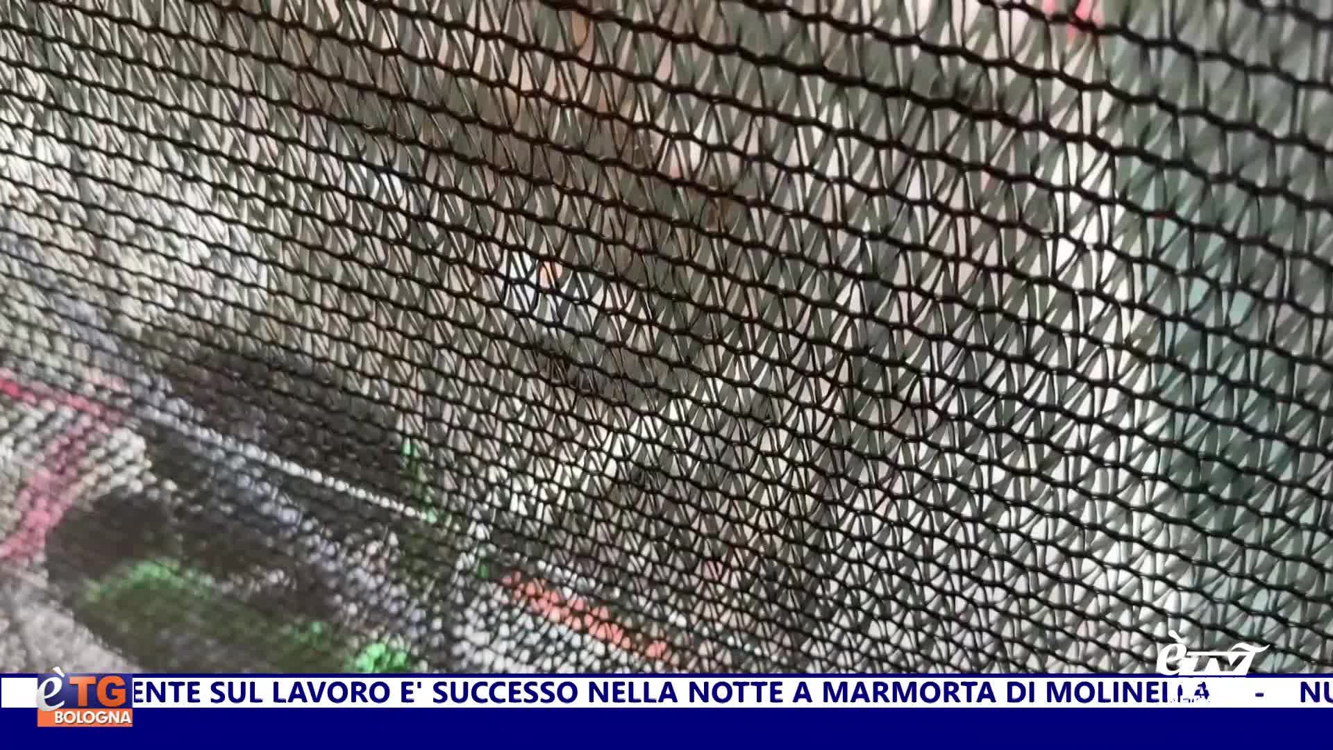 èTG –  Edizione Sera 21/08/2025