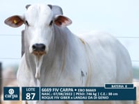 Lote 87