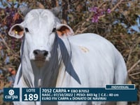 Lote 189