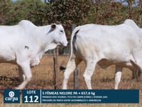 Lote 112