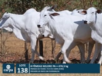 Lote 138