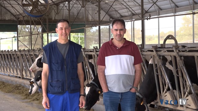 Mejora genética, tecnología avanzada y manejo eficiente marcan el camino de la excelencia