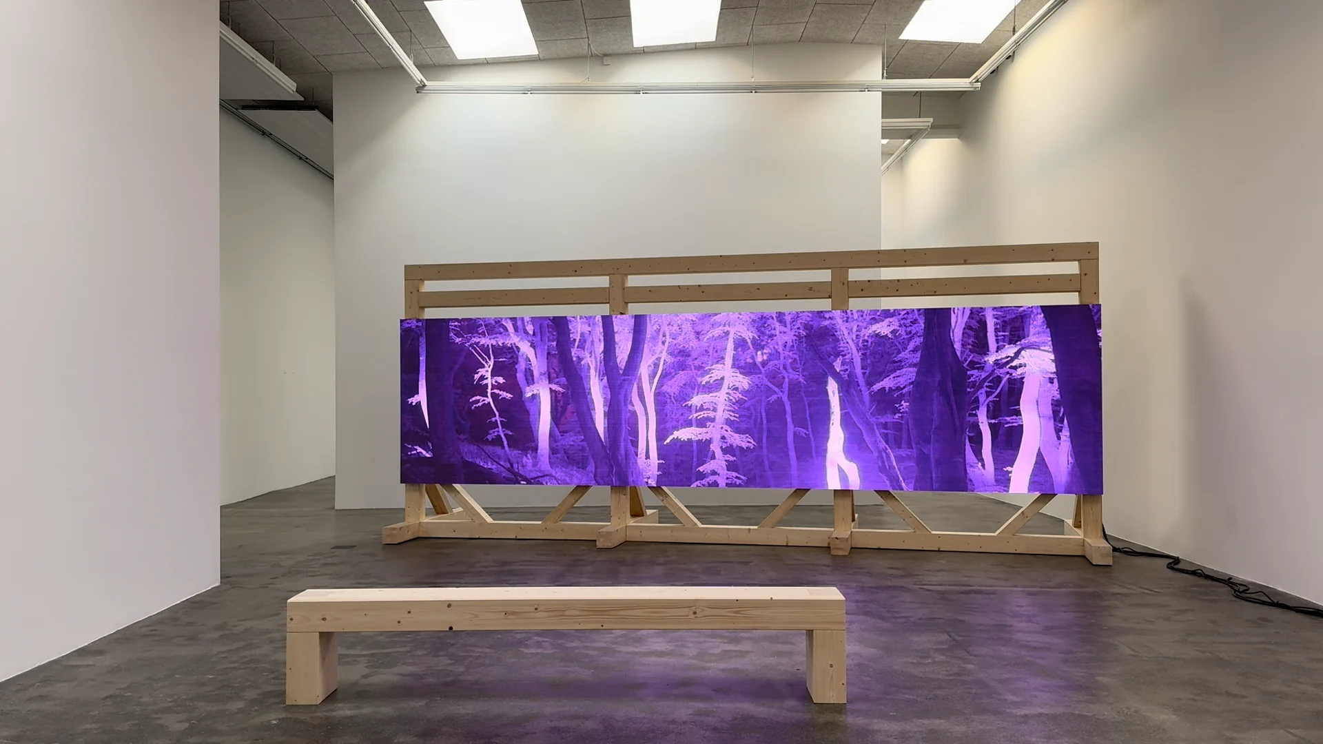 Interoceptions – Nicolai Wallner