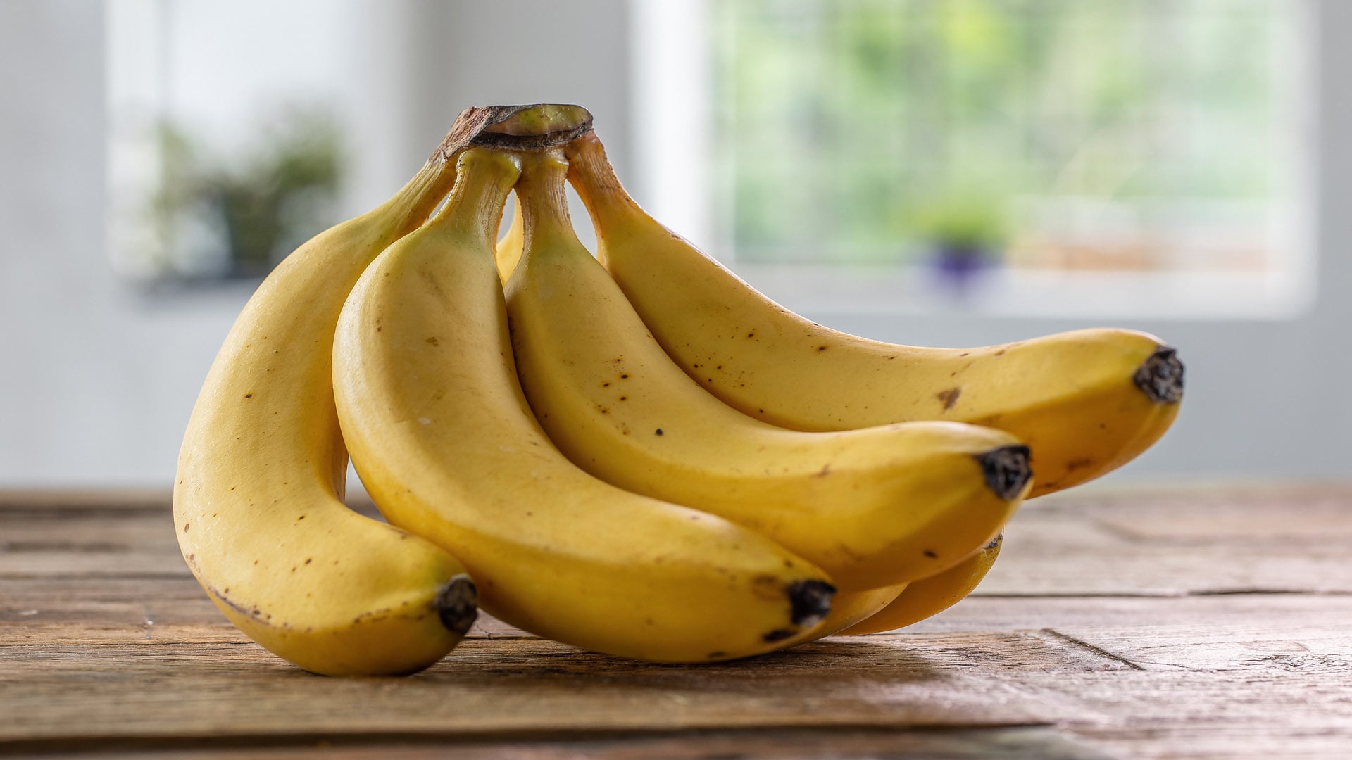 PLANET E "Bananen - Genuss mit Beigeschmack" ZDF