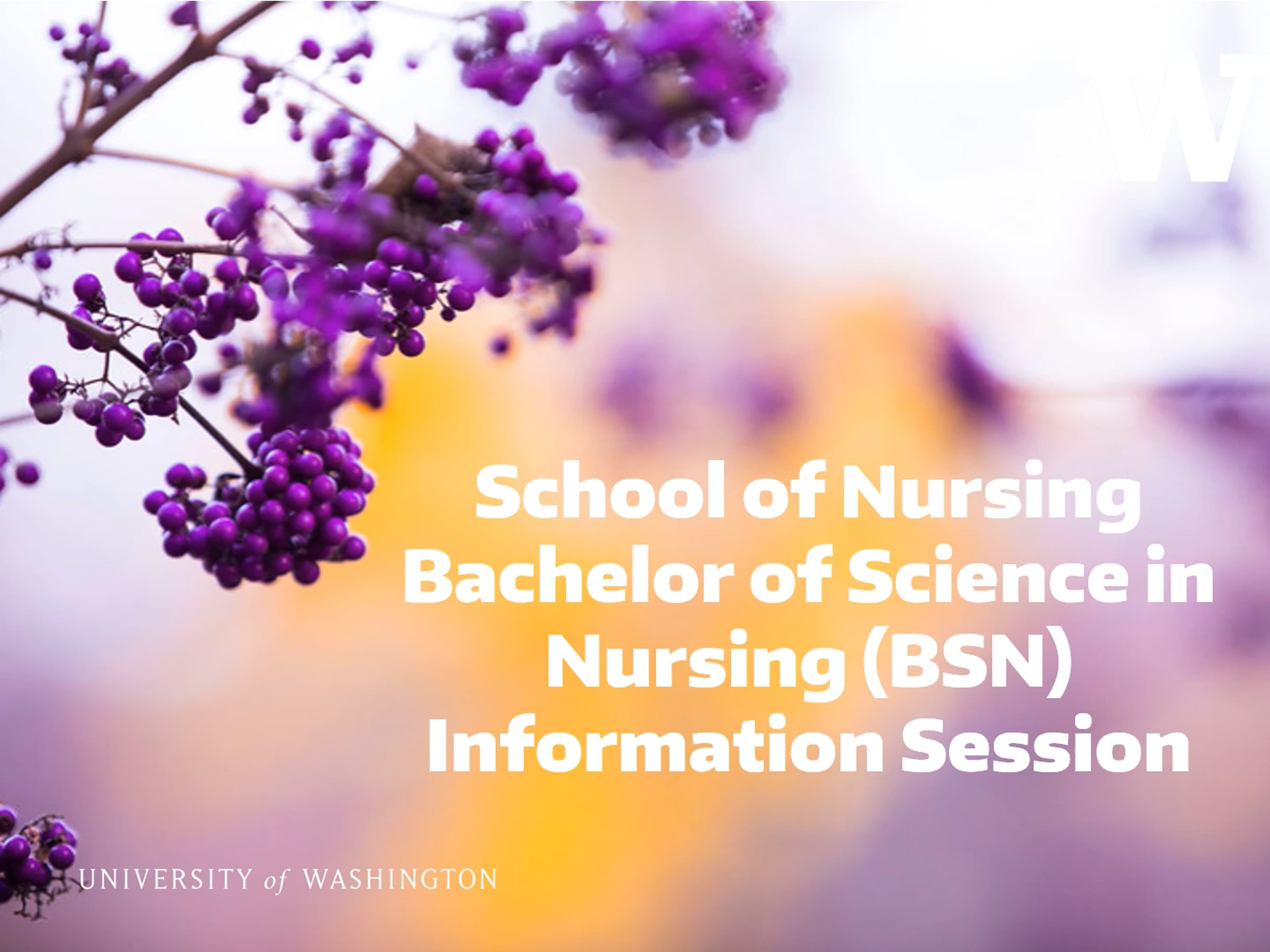 Bachelor of Science in Nursing (BSN) Information Session | Videos ...