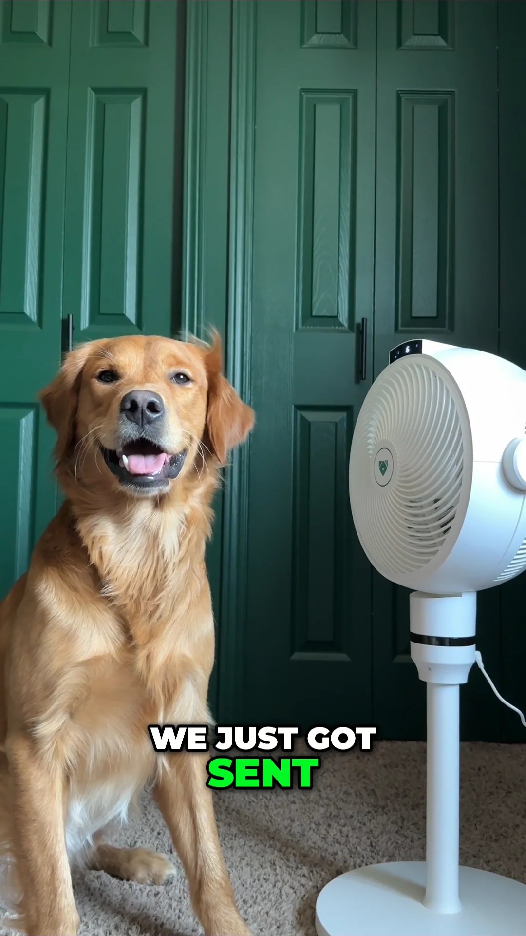 Battery-Operated Portable Fan | Airdog USA