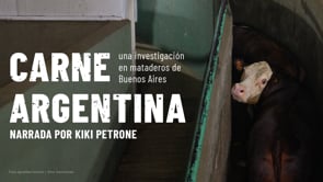 La CRUELDAD de los mataderos de ARGENTINA | Narrada por Kiki Petrone