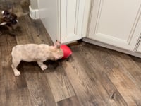 Watch me play!