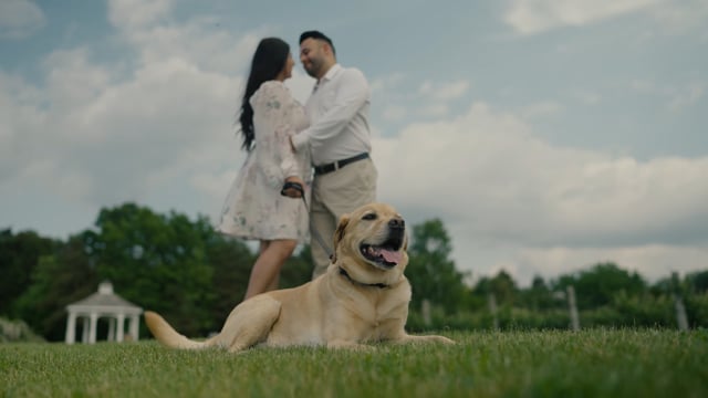 Still from Nirav & Krupa same day edit by Happy Soul Films, Toronto wedding videographers