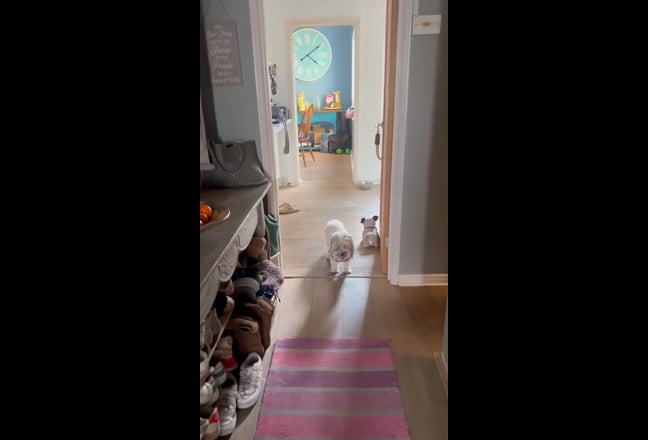 Video 1: 