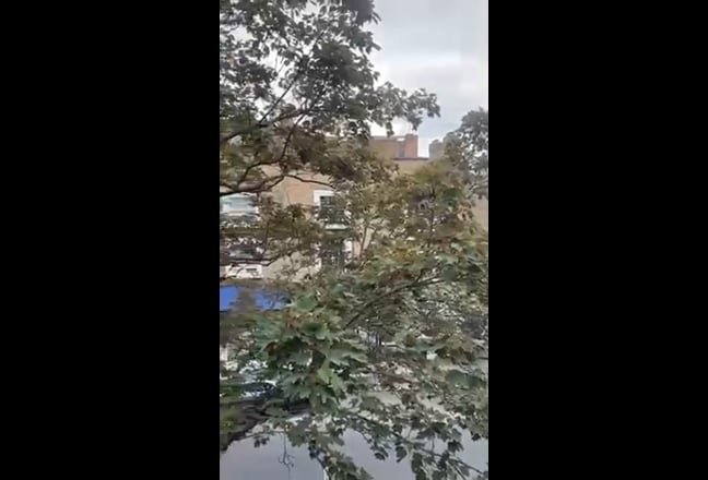 Video 1:
