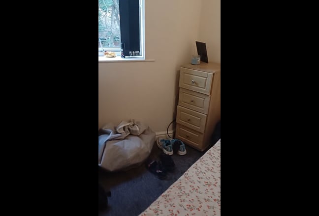 Single Room  Main Photo